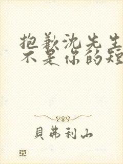 抱歉沈先生孩子不是你的短剧免费全集