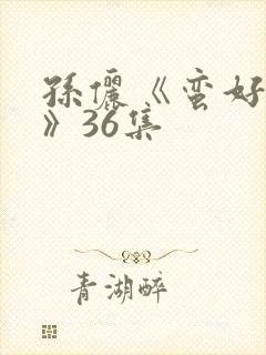 孙俪《蛮好人生》36集