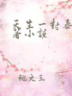 天生一对泰国原著小说