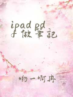 ipad pdf 做笔记