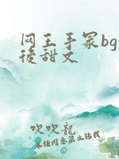 网王手冢bg婚后甜文