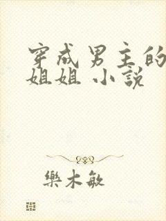 穿成男主的反派姐姐 小说