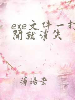 exe文件一打开就消失