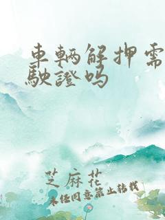 车辆解押需要行驶证吗