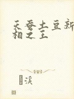 天蚕土豆新作万相之王