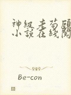 神级老苟顾安的小说在线阅读全文