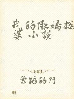 我的傲娇总裁老婆 小说