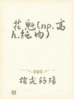 花魁(np,高h,纯肉)