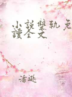 小说双轨免费阅读全文