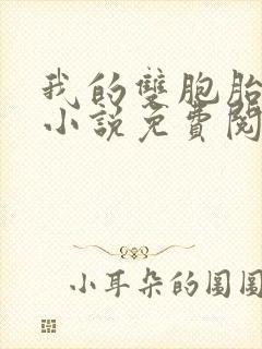 我的双胞胎老婆小说免费阅读