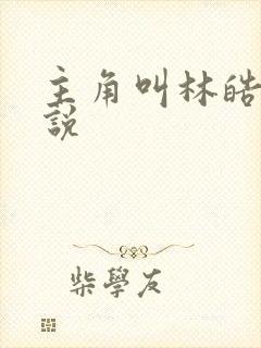 主角叫林皓的小说