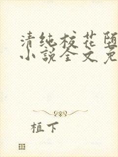 清纯校花堕落记小说全文免费阅读