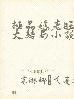 极品媳老旺秦雨大结局小说免费阅读