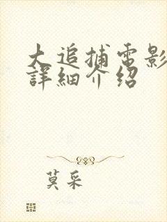 大追捕电影剧情详细介绍