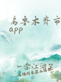 乌鲁木齐市地铁app