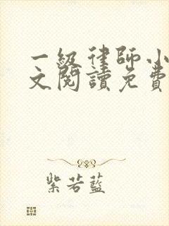 一级律师小说全文阅读免费