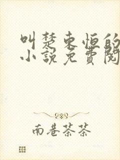 叫楚东恒的官场小说免费阅读