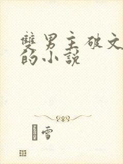 双男主破文囚禁的小说