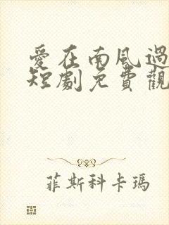爱在南风过境时短剧免费观看