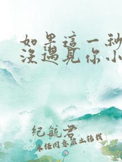 如果这一秒,我没遇见你小说txt