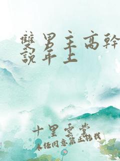 双男主高干文小说年上