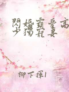 闪婚霸爱高冷帝少独宠妻