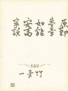宁安如梦原著小说高能章节