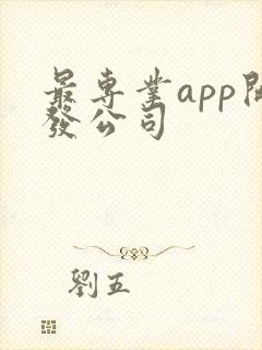 最专业app开发公司