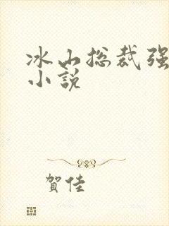 冰山总裁强宠婚小说