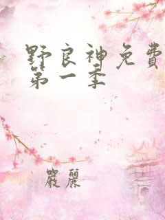 野良神免费观看第一季