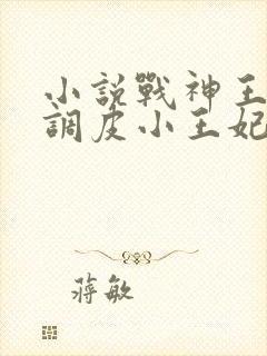 小说战神王爷的调皮小王妃