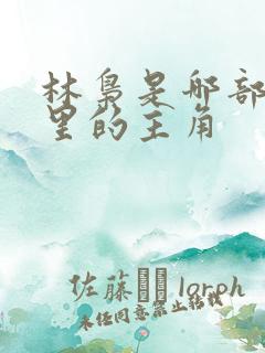 林枭是哪部小说里的主角