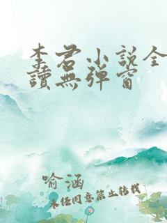 李君小说全文阅读无弹窗