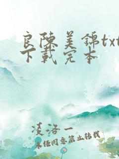 良陈美锦txt下载完本