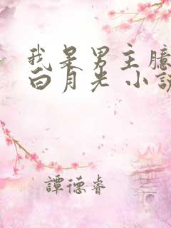我是男主臆想的白月光 小说
