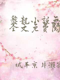 盘龙小说无弹窗全文免费阅读