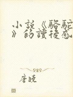 小说《骆驼祥子》的读后感