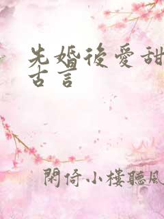 先婚后爱甜宠文古言