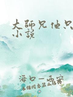 大师兄他只想逃小说