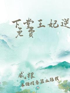 下堂王妃逆袭记 免费