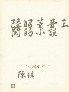 陆昭菱晋王周时阅的小说