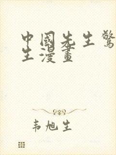 中国先生惊奇先生漫画