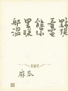 哪里能看点燃我温暖你电视剧