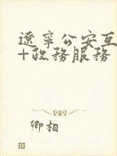 辽宁公安互联网+政务服务