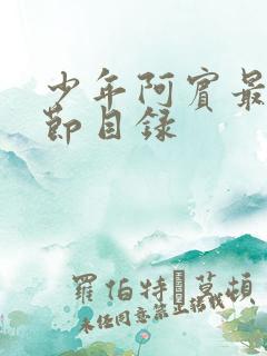 少年阿宾最新章节目录