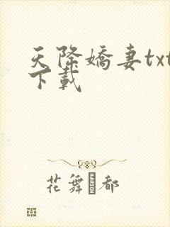 天降娇妻txt下载