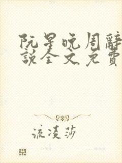 阮星晚周辞深小说全文免费