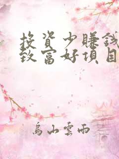 投资少赚钱快的致富好项目