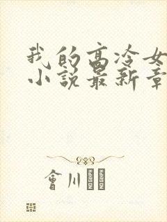 我的高冷女总裁小说最新章节