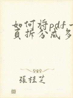 如何将pdf一页拆分成多页
